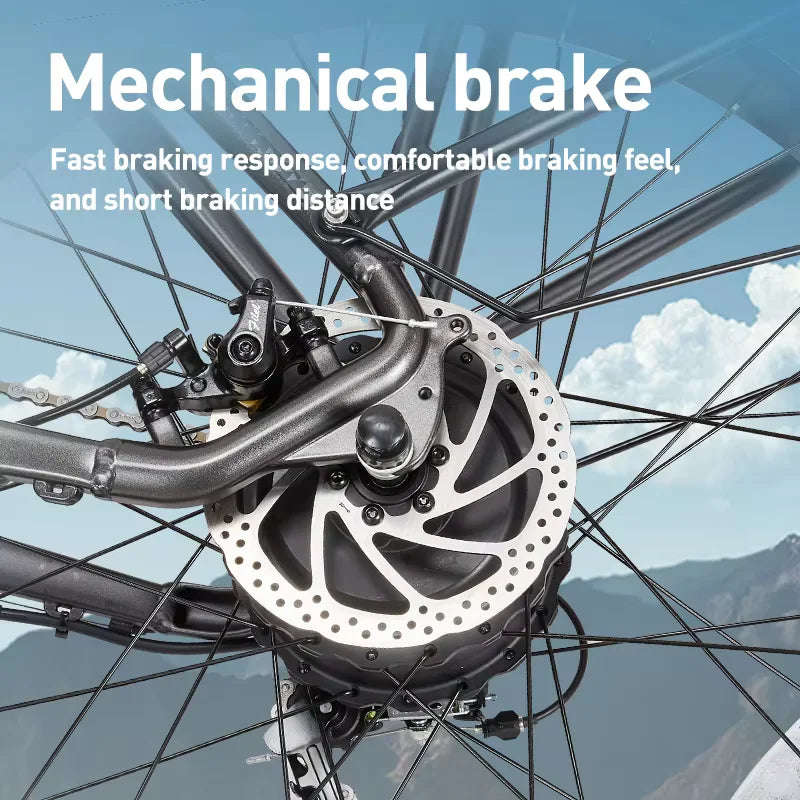 Elektro-Mountainbike – 250/1000W Power, 48V 20Ah Akku, 26" Fatbike mit 36-monatiger Gewährleistung
