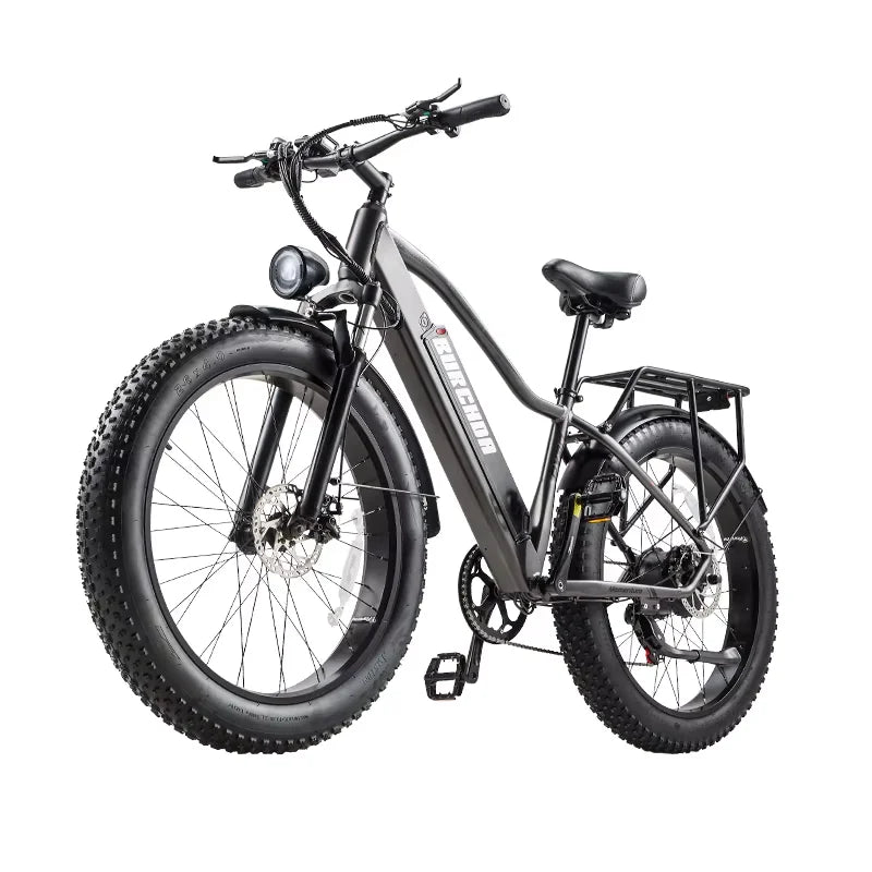 Elektro-Mountainbike – 250/1000W Power, 48V 20Ah Akku, 26" Fatbike mit 36-monatiger Gewährleistung