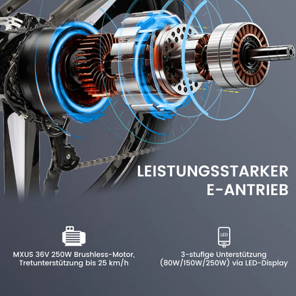 27,5" E-Mountainbike im sportlichen Design für Erwachsene, 36V 10.4Ah, 21-Gang