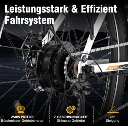 28-Zoll Elektro-City-/Trekking E-Bike, Elektrofahrrad für Erwachsene, 250W mit 36monatiger Gewährleistung