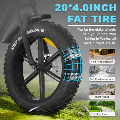 20-Zoll E-Fatbike mit kraftvollem 250W Motor, 48V Akku & dicken 4"-Reifen und mit 36-monatiger Gewährleistung