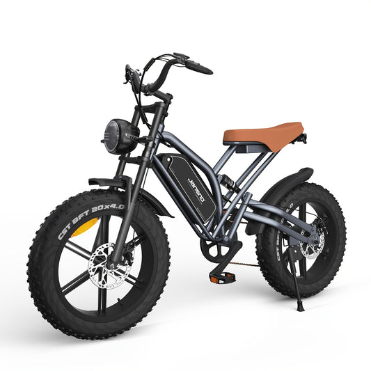 20-Zoll E-Fatbike mit kraftvollem 250W Motor, 48V Akku & dicken 4"-Reifen und mit 36-monatiger Gewährleistung