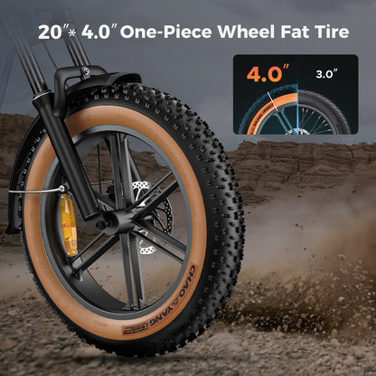 20-Zoll Fat Tire E-Bike | 250W Motor - bis zu 260 km Reichweite | 20"x4.0" Reifen | Hydraulikbremsen | Vollfederung