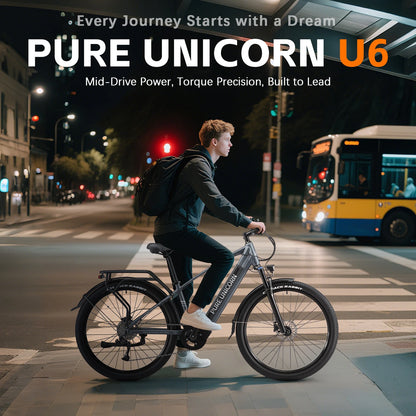 PURE UNICORN E-Bike 29 Zoll – 500W Mittelmotor, 25km/h, 90 Nm Drehmoment, 48V 14Ah Samsung Akku, 70 km Reichweite, Luftfederung & Hydraulikbremsen