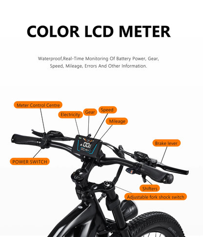 26-Zoll Power E-Mountainbike für Erwachsene 2000W Fat Tire E-Bike Dual Motor Hydraulic Brake - mit 36-monatiger Gewährleistung