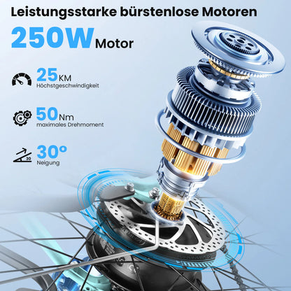 26-Zoll Trekking E-Bike / Citybike | 36 V 16 Ah Lithium Akku - Robustes Modell für zwei Personen – mit 36-monatiger Gewährleistung