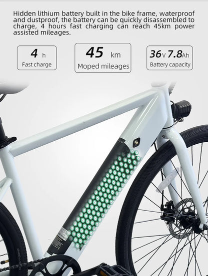 27,5-Zoll Elektrofahrrad 250W, 36V 7,8Ah Lithium Akku - Dein stylischer Einstieg in die urbane E-Mobilität