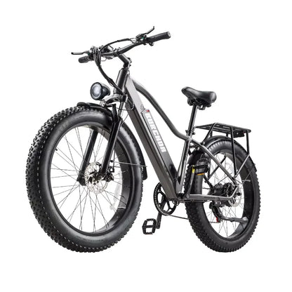 Elektro-Mountainbike – 250/1000W Power, 48V 20Ah Akku, 26" Fatbike mit 36-monatiger Gewährleistung