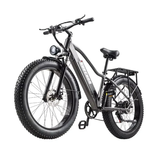 Elektro-Mountainbike – 250/1000W Power, 48V 20Ah Akku, 26" Fatbike mit 36-monatiger Gewährleistung