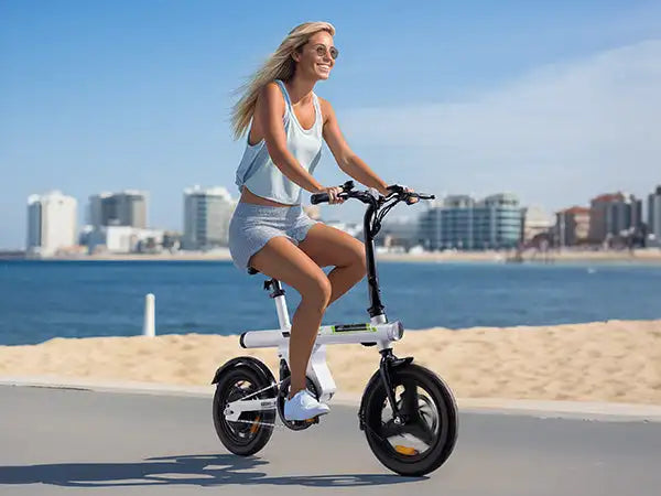 Klapprad 14-Zoll Elektrofahrrad | 250W Motor | 36V 17,5Ah Akku | Faltbares City E-Bike bis 25 km/h | Pendler-Fahrrad