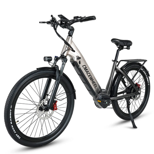 26-Zoll Elektro-Fahrrad 1000W Motor 48V/17Ah, E-Bike für Erwachsene - modernes Design, starke Leistung und hohe Reichweite