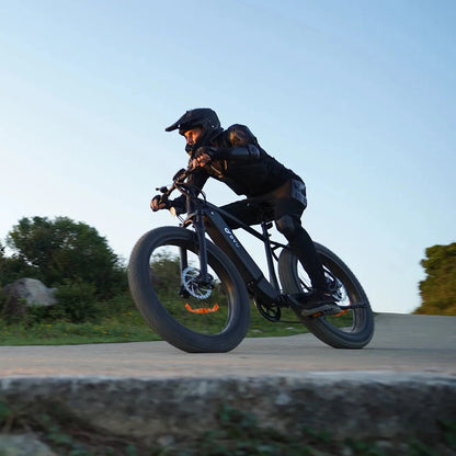 26-Zoll Elektro Fahrrad – 750W Motor, 18Ah Akku, Fettreifen, Gepäckträger 45 km/h E-Bike mit 36-monatiger Gewährleistung