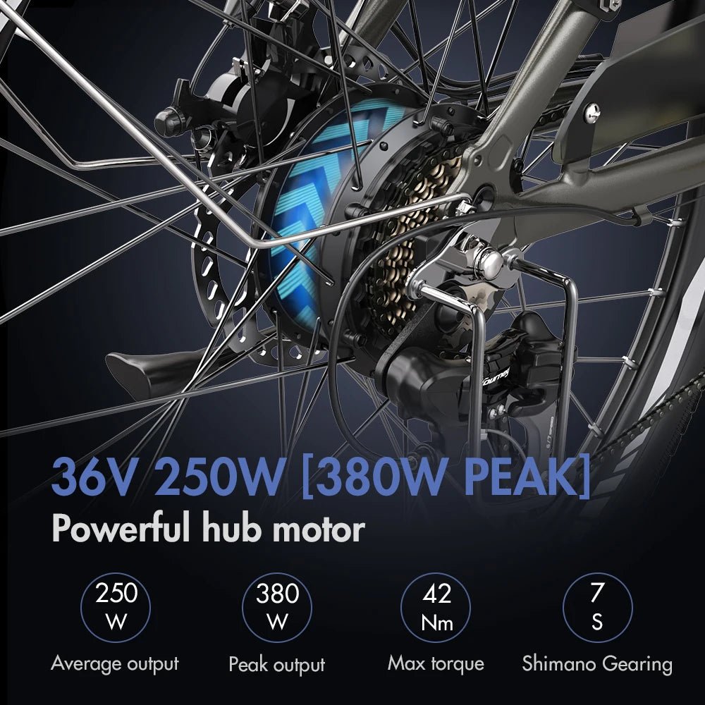 26 -Zoll City Allrounder E-Bike, 250W, 36V 14,5 Ah Akku – mit 36-monatiger Gewährleistung