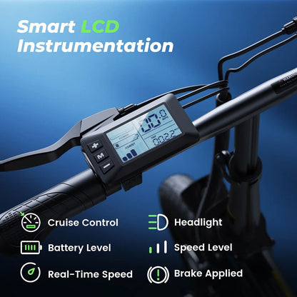 E-Bike – 14" Faltbares Elektrofahrrad mit 250W Motor 36 V / 7,5 Ah, LCD-Display | Citybike bis 25 km/h