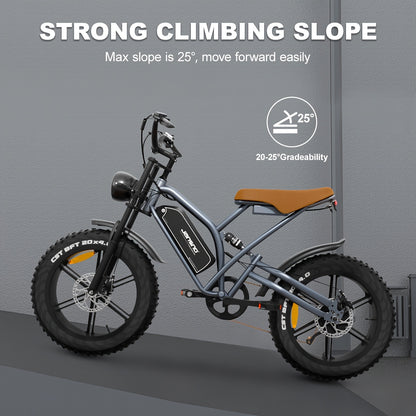 20-Zoll E-Fatbike mit kraftvollem 250W Motor, 48V Akku & dicken 4"-Reifen und mit 36-monatiger Gewährleistung