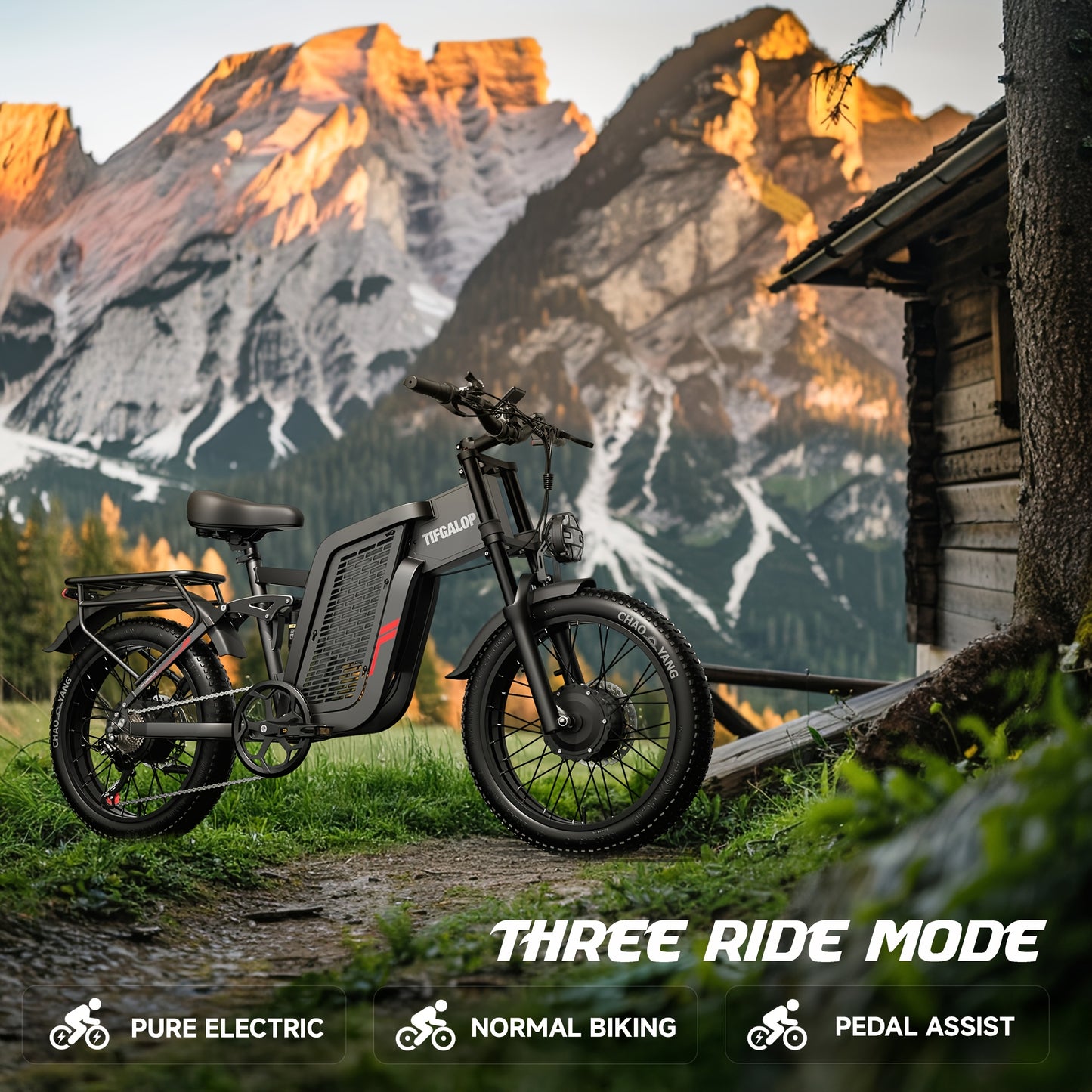 Enduro E-Mountainbike 2000W Power für Erwachsene 52V 24AH 20-Zoll mit 36-monatiger Gewährleistung